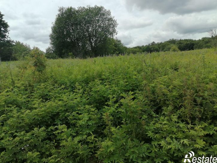 Земельный участок Калининградский переулок