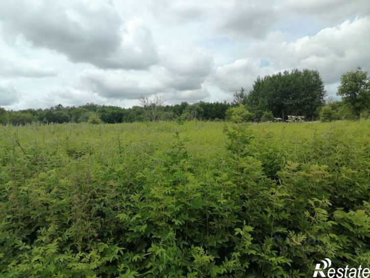 Земельный участок Калининградский переулок