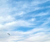 1-комн, 33кв м, этаж 5/6 Ореховая улица, 9